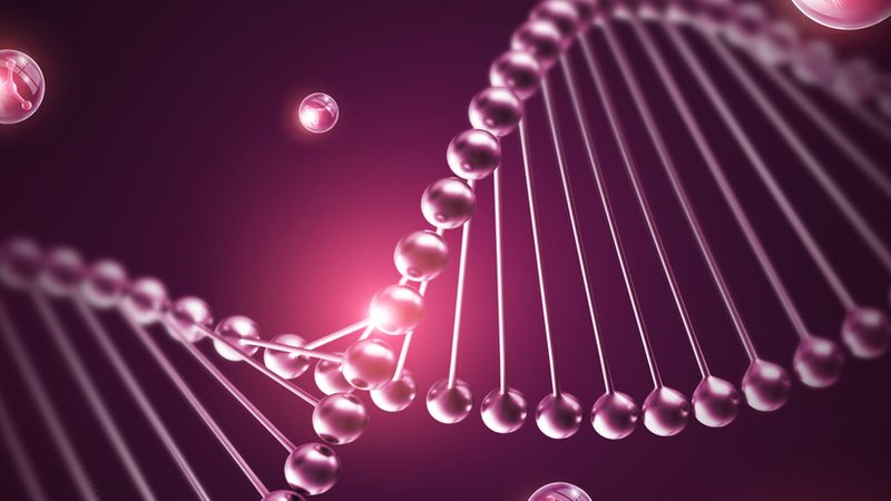 全外显子组测序：揭开基因奥秘的精准利器，价格几何？**