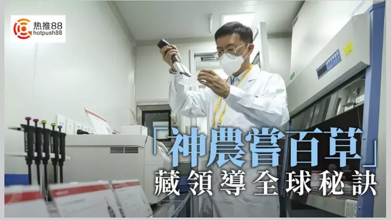 PCR试剂盒：揭秘其背后的技术奥秘与选购关键