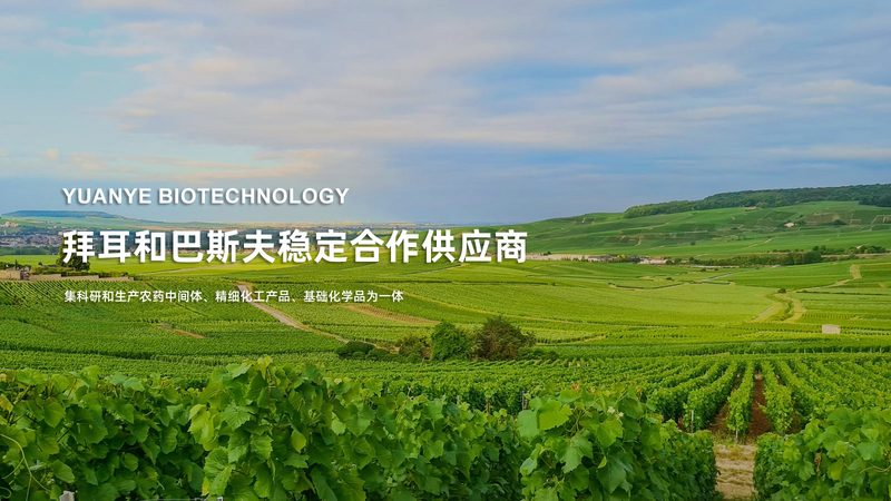 P2、P10、P20移液器型号背后的秘密**