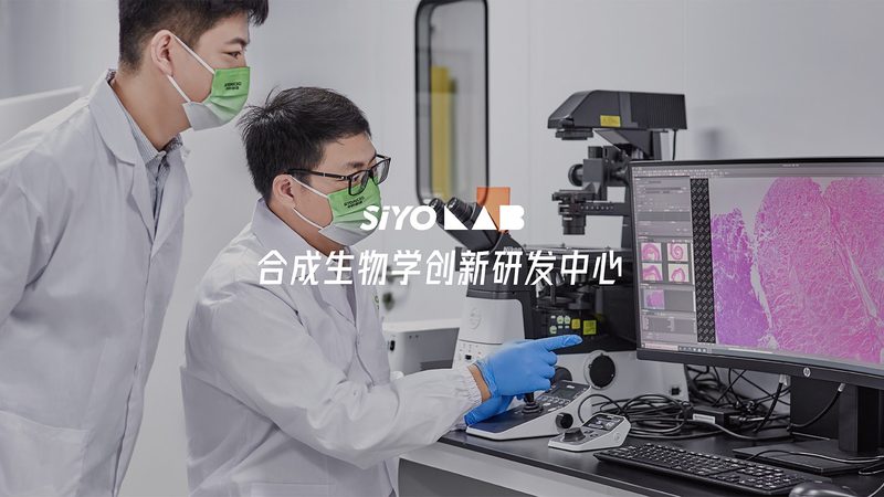 CDMO的质量管理体系直接关系到产品的安全性和有效性。企业应关注以下方面：