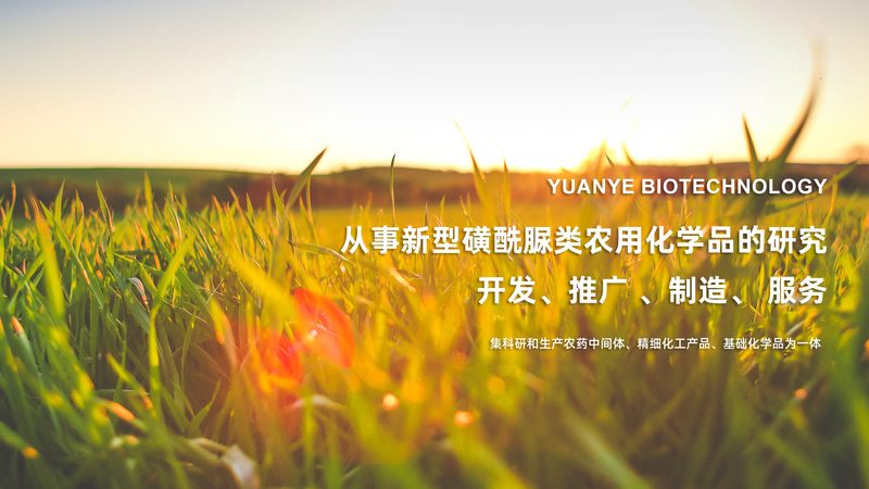基因检测样本邮寄：费用之外，这些你也要知道**