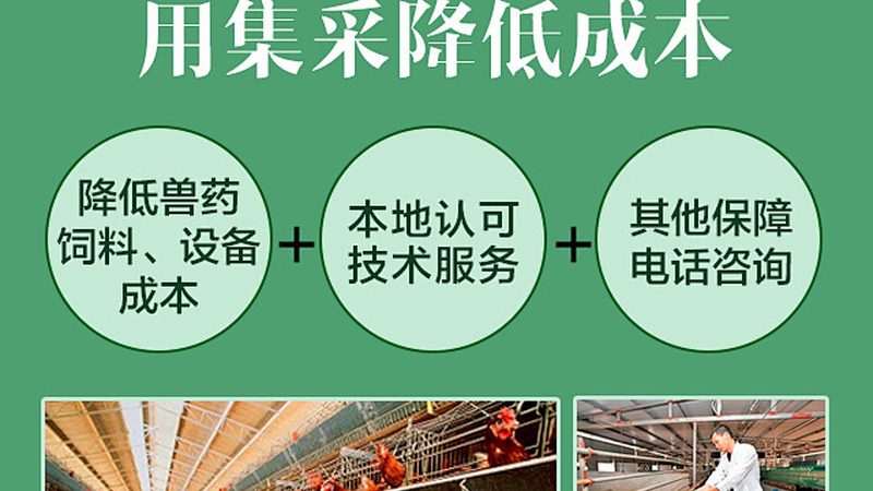 遗传病携带者筛查：揭秘精准守护生命健康的科学之路